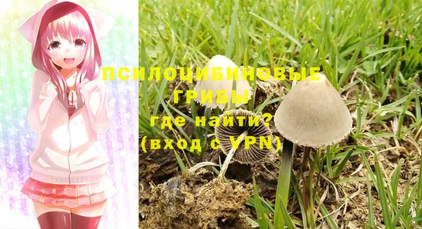 МДПВ Абдулино