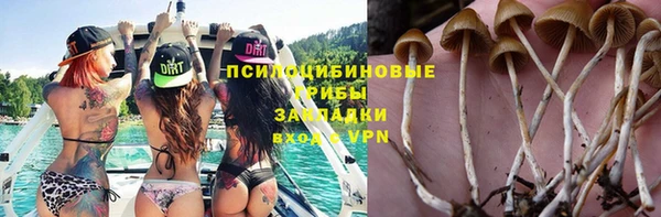 винт Алексин