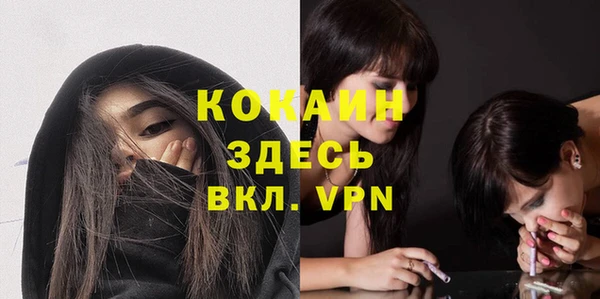 МДПВ Алзамай